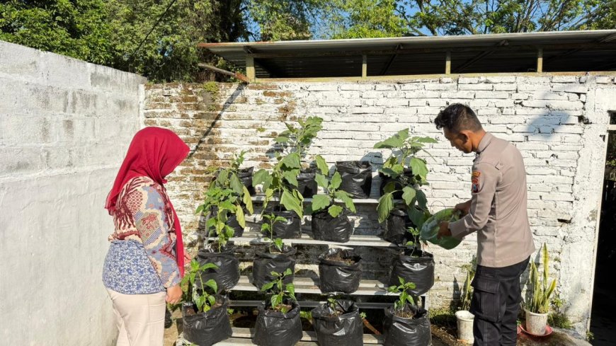 Polres Malang dan Jajaran Maksimalkan Pekarangan Pangan Lestari untuk Perkuat Ketahanan Pangan