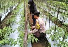 Dukung Petani di Kabupaten Malang, Polisi Perkuat Koordinasi di Lapangan
